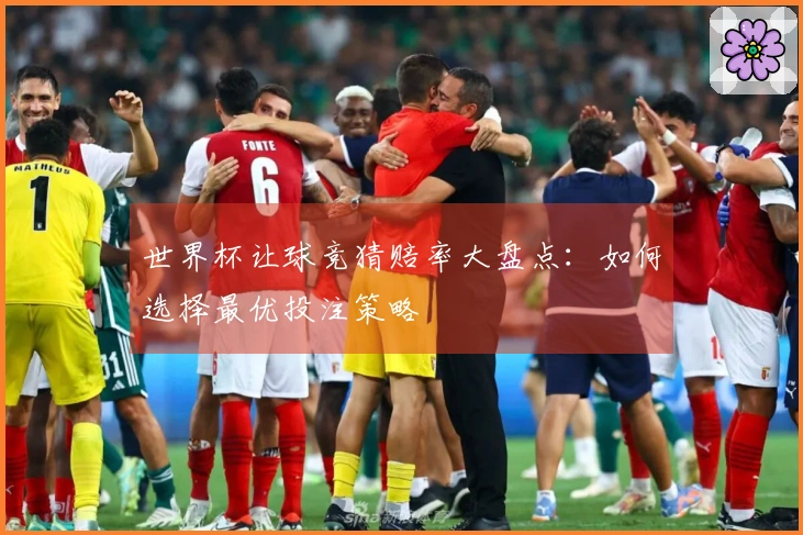 世界杯让球竞猜赔率大盘点：如何选择最优投注策略