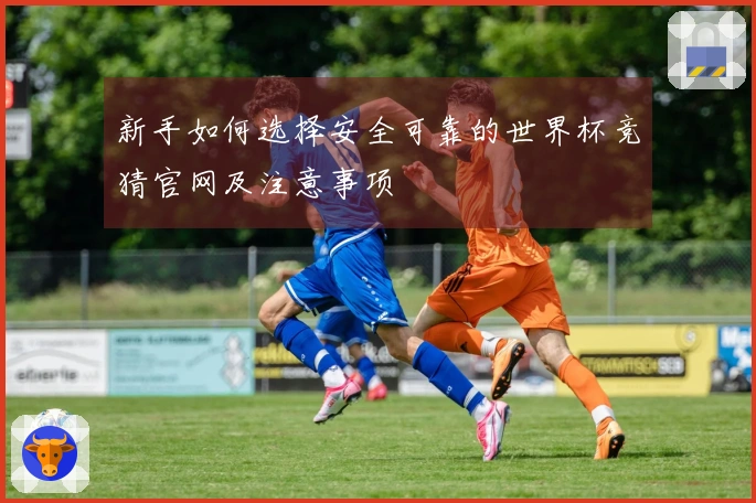 新手如何选择安全可靠的世界杯竞猜官网及注意事项