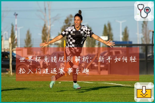 世界杯竞猜规则解析：新手如何轻松入门追逐赛事乐趣