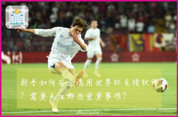 新手如何安全选用世界杯竞猜软件？需要关注哪些重要事项？