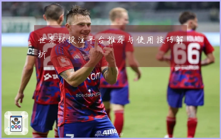 世界杯投注平台推荐与使用技巧解析