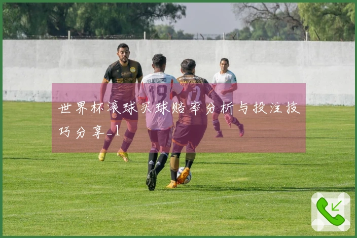 世界杯滚球买球赔率分析与投注技巧分享_1